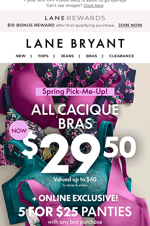 TICK-TOCK! Final hours for $29.50 BRAS!