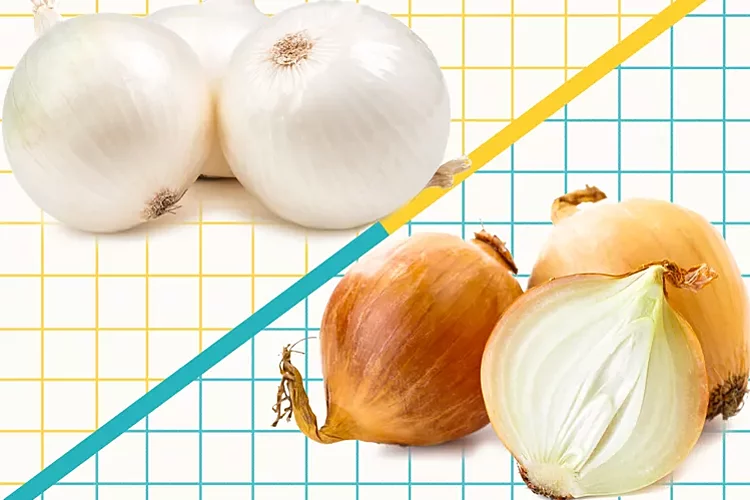Yellow vs. White Onions: What's the Difference?