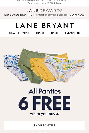Pick 6 PANTIES FREE when you buy just 4 🤯