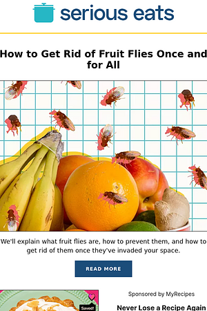How to Get Rid of Fruit Flies Once and for All