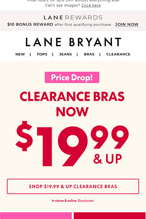 $19.99 BRAS + 5 (!!!) FREE PANTIES INSIDE