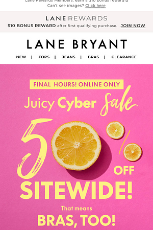 FINAL HOURS! 50% OFF sitewide (even bras!)