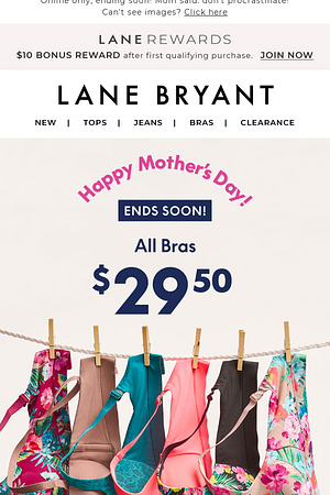 $29.50 BRAS + 50% OFF almost everything else 🥂