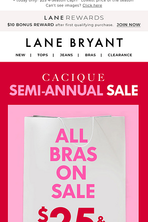 $25 BRAS 🎉 5 FREE PANTIES 🎉 $25 & UP SLEEP