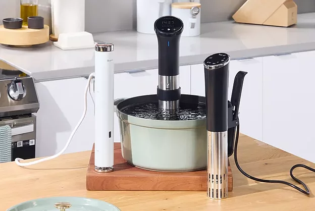 The 4 Best Sous Vide Machines Are Accurate, Fast, and Fun to Use