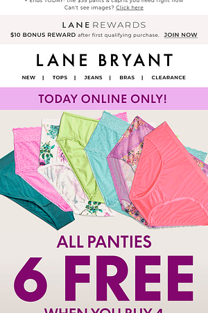 ☝️ day only! 6 FREE PANTIES when you buy 4