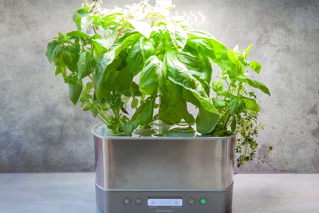 Our Favorite Indoor Herb Garden