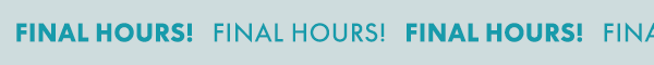 Final Hours 
