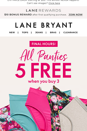 FNL HRS! 5 FREE PANTIES when you buy 3