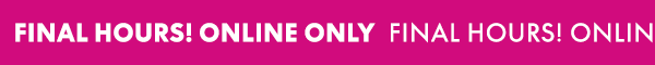 Final Hours Online Only