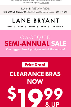 😱 Happiness is a $19.99 BRA SALE 😱