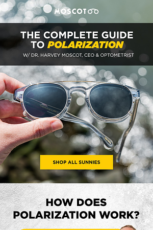How Does Polarization Work?