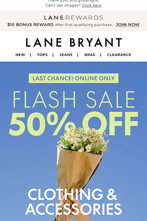 LAST CALL! 50% OFF + $29.50 BRAS