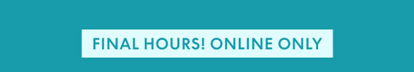 Final Hours Online Only
