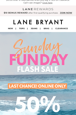 💥 Only MINUTES left for 50% OFF 💥